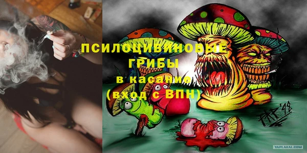 шишки Алзамай