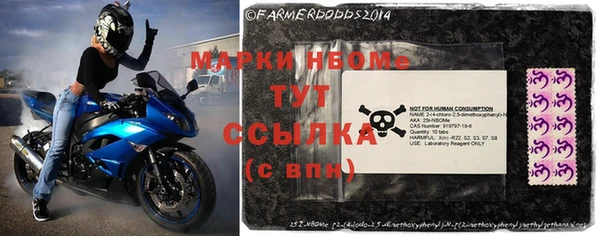 шишки Алзамай