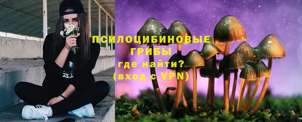 шишки Алзамай