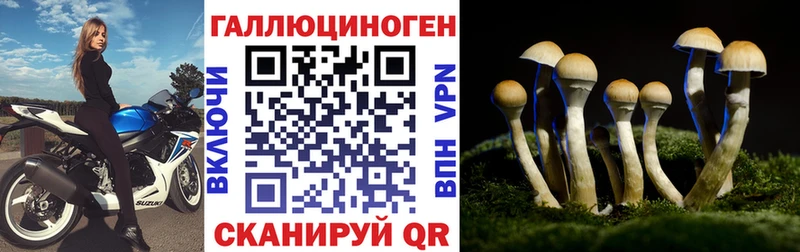 продажа наркотиков  Южно-Сахалинск  Галлюциногенные грибы Cubensis 